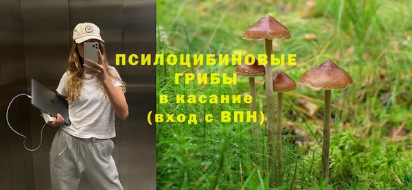 эйфоретик Алзамай