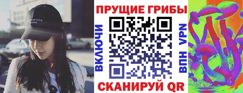 закладки  Коряжма  Галлюциногенные грибы GOLDEN TEACHER 